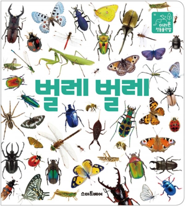 이리온 첫동물관찰10 - 벌레 벌레